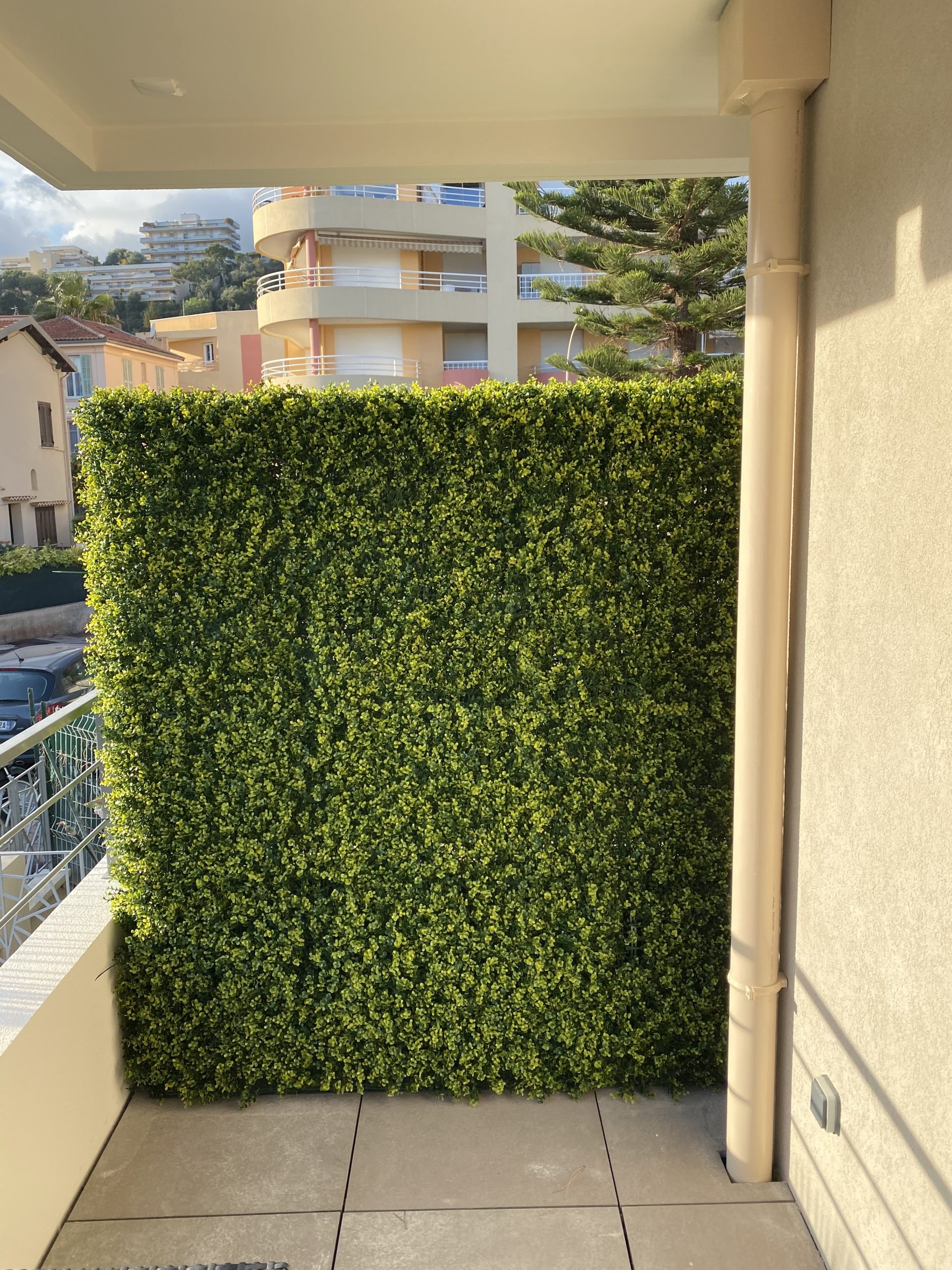image00014